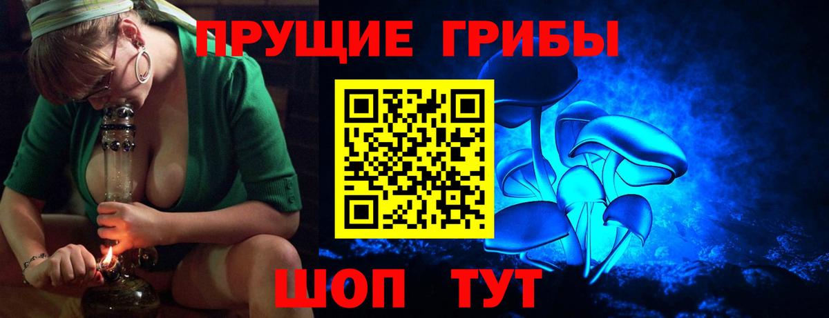 Галлюциногенные грибы мицелий  Псилоцибиновые грибы Cubensis  Серов  Вход с VPN 