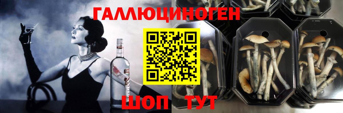 Псилоцибиновые грибы прущие грибы Серов