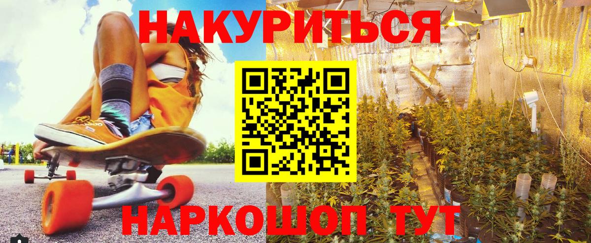Конопля сатива Серов